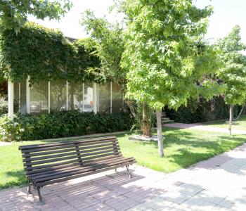 Entidad de Conservación del Arroyo de la Vega