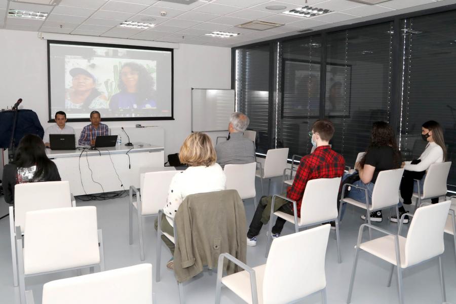 Detalle videoconferencia