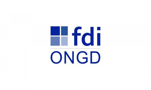 Logo Fundación Desarrollo e Integración