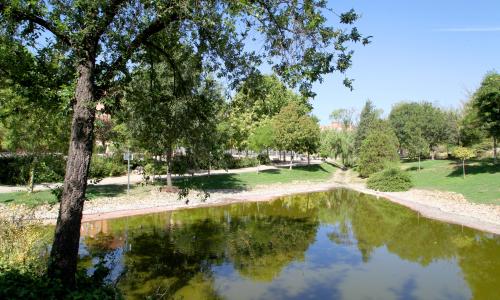 Parque de Castilla-La Mancha