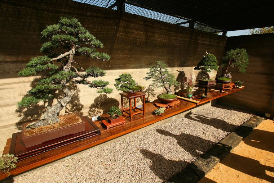 Museo del Bonsai en el jardín jápones del arroyo de la Vega en el municipio de Alcobendas