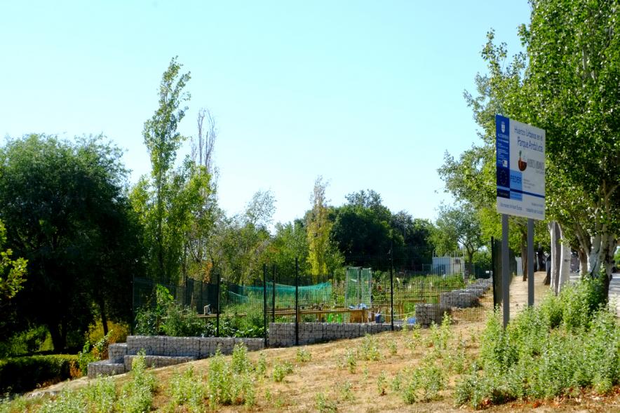Vista lateral de algunos de los huertos urbanos que el municipio pone a disposición de sus ciudadanos