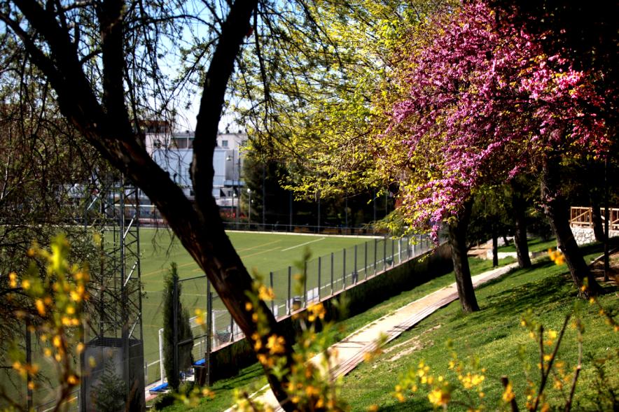 Arboleda  y zonas verdes  del Parque de Navarra anexas a campo de fútbol césped