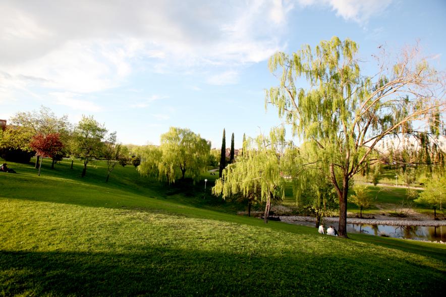 Zona de picnic frente al lago artificial del parque de Andalucía con detalle en el sauce llorón que habita su orilla